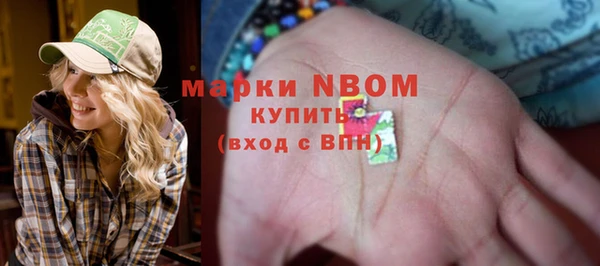 эйфоретик Арсеньев