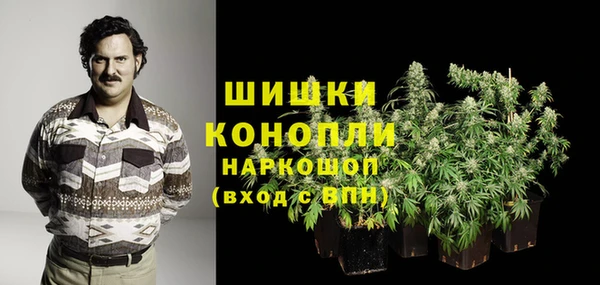 эйфоретик Арсеньев