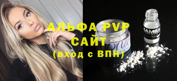 эйфоретик Арсеньев