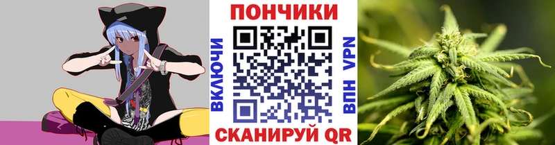 Купить где  Голицыно  Бошки Шишки Bruce Banner 
